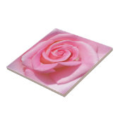 Rosa Keramik Tile Fliese (Seite)