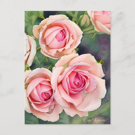 Rosa“Kimono” [Postcard] Postkarte (Vorderseite)