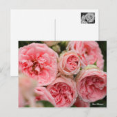 Rosa"Kimono" Postkarte (Vorne/Hinten)