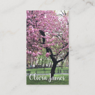 Rosa Kirschbaum Blüten Blumenbilder Visitenkarte