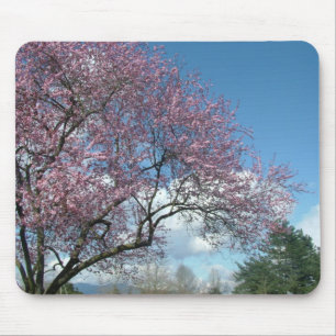 Rosa Kirschbaum und blauer Himmel, weiße Wolken Mousepad