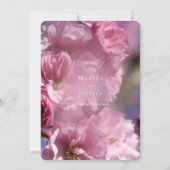 Rosa Kirschbaumblüten Frühjahrshochzeit Einladung (Rückseite)