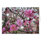 Rosa Kirschblosim / Sakura / ラ(桜) Karte (Vorderseite (Horizontal))