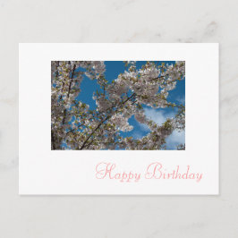 Rosa Kirschblüte Blume zum Geburtstag glücklich Postkarte