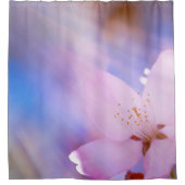 Rosa Kirschblüte Duschvorhang (Vorderseite)