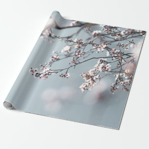 ROSA KIRSCHBLÜTE IN NAHAUFNAHME-FOTOGRAFIE GESCHENKPAPIER