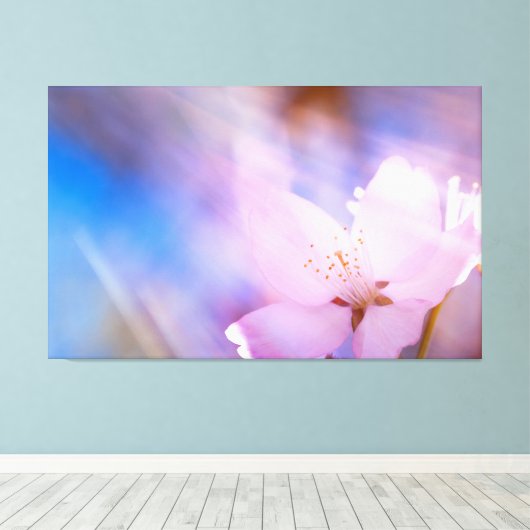 Rosa Kirschblüte Leinwanddruck (Insitu (Holzboden))