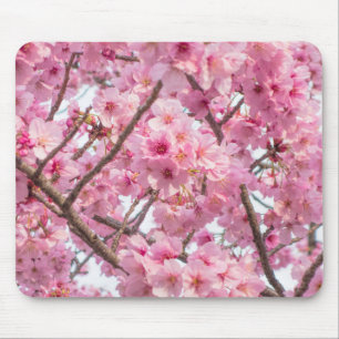Rosa Kirschblüte Mousepad