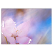 Rosa Kirschblüte Tischdecke (Vorderseite (Horizontal))