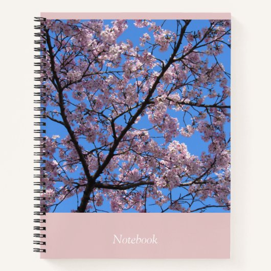 Rosa Kirschblüten 8.5"x11" Notebook Notizblock (Vorderseite)