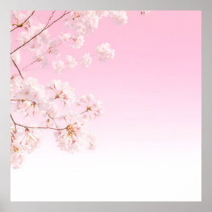 Rosa Kirschblüten-Frühlingsserenität Poster