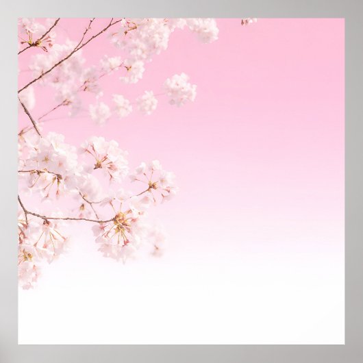 Rosa Kirschblüten-Frühlingsserenität Poster (Vorne)
