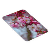 Rosa Kirschblüten Magnet (Rechte Seite)