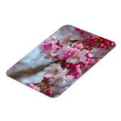 Rosa Kirschblüten Magnet (Linke Seite)