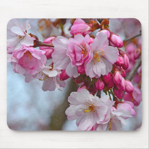 Rosa Kirschblüten Mousepad
