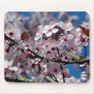 Rosa Kirschblüten Mousepad
