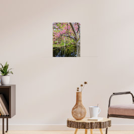 Rosa Kirschblüten neben einem Teich Poster