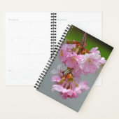 Rosa Kirschblüten Planer (Anzeige)