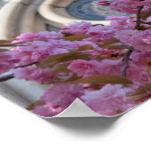 Rosa Kirschblüten Poster (Ecke)