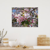 Rosa Kirschblüten Poster (Küche)