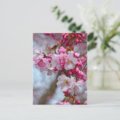 Rosa Kirschblüten Postkarte (Stehend Vorderseite)