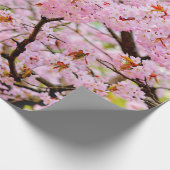 Rosa Kirschblüten über den Sakura-Bäumen Geschenkpapier (Ecke)