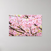 Rosa Kirschblüten über den Sakura-Bäumen Leinwanddruck (Vorderseite)