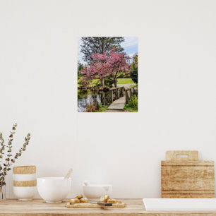 Rosa Kirschblüten und hölzerne Fußgängerbrücke Poster
