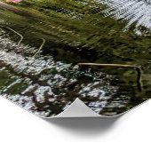 Rosa Kirschblüten und Teich Poster (Ecke)