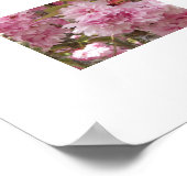 Rosa Kirsche Blüten Blüten Poster (Ecke)