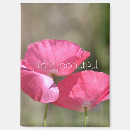 Rosa Klatschmohn Magnet (Vorderseite)