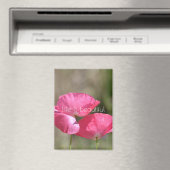 Rosa Klatschmohn Magnet (In Situ (Geschirrspüler))