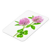 Rosa Klee Magnet (Linke Seite)