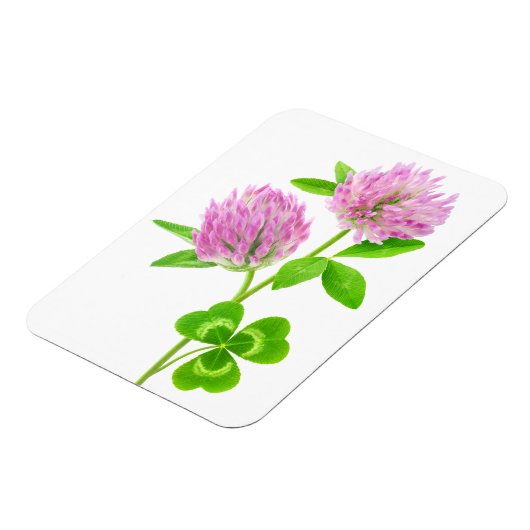 Rosa Klee Magnet (Linke Seite)