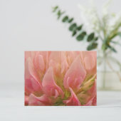 Rosa Klee Postkarte (Stehend Vorderseite)