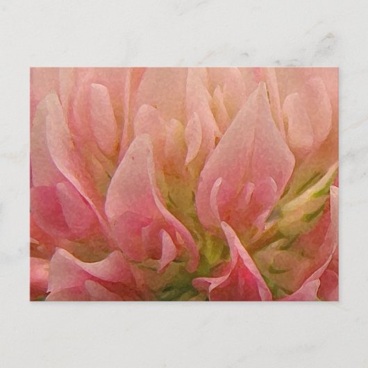 Rosa Klee Postkarte (Vorderseite)