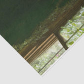 Rosa Kleiderform Seidenpapier (Ausschnitt)