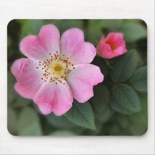 Rosa kleine Blume Mousepad