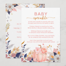 Rosa kleine Kürbis-Baby-Sprinkle