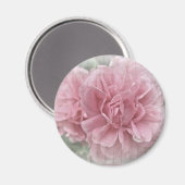 Rosa Kletterblüten in der Rose Magnet (Vorderseite/Rückseite)