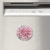 Rosa Kletterblüten in der Rose Magnet (In Situ (Geschirrspüler))