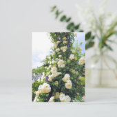 Rosa Klettersteig Iceberg: Postkarte (Stehend Vorderseite)