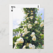 Rosa Klettersteig Iceberg: Postkarte (Vorne/Hinten)