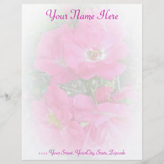 Rosa Kletterwand Rose Letterhead Stadium Briefkopf