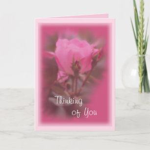 Rosa Knockout-Rose Karte