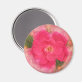 Rosa Knockout-Rose Magnet (Vorderseite/Rückseite)