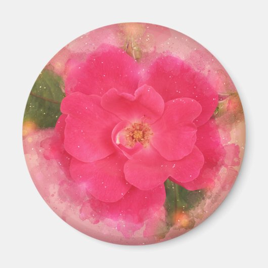 Rosa Knockout-Rose Magnet (Vorne)