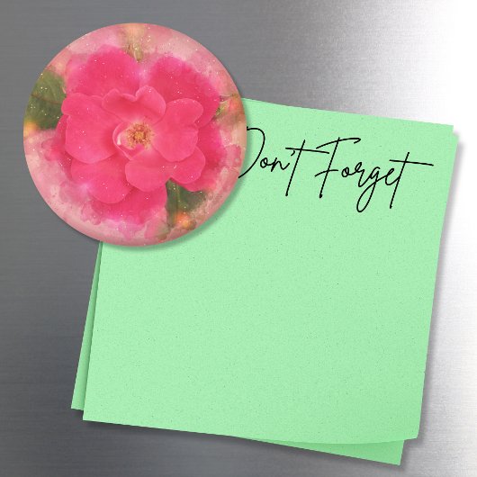 Rosa Knockout-Rose Magnet