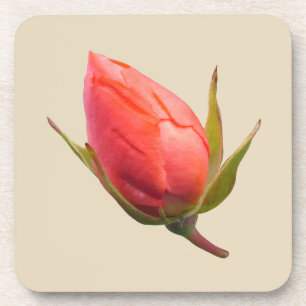 Rosa Knospe Getränkeuntersetzer