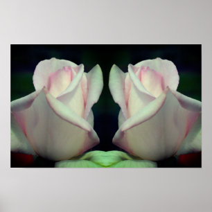 Rosa Knospen-Blumen-Spiegel Natur Kunst Poster